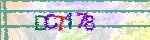 animated captcha