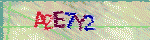 animated captcha