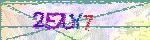 animated captcha