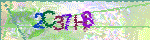 animated captcha