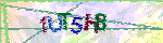 animated captcha